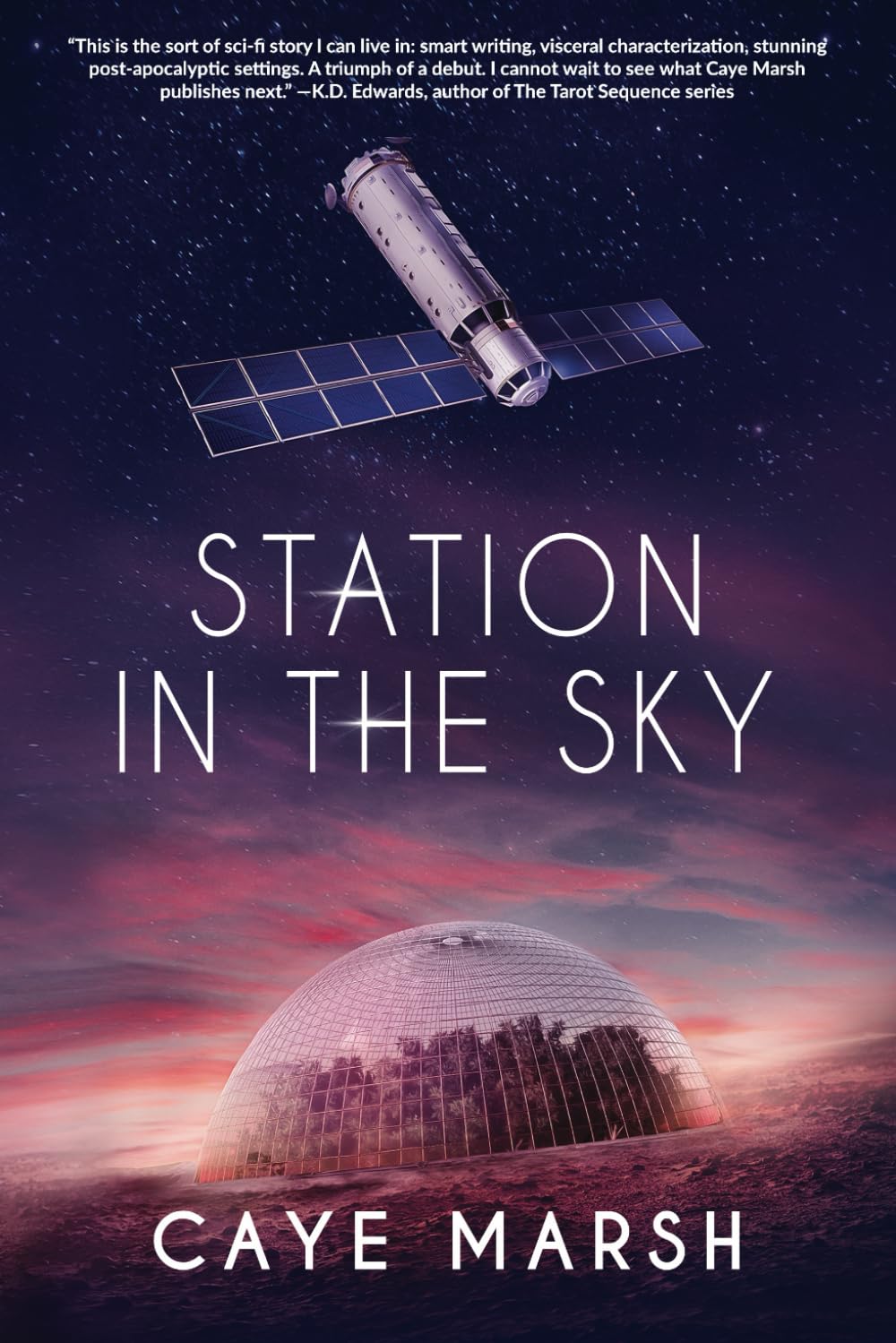 Buy Station in the Sky — BookShops.in