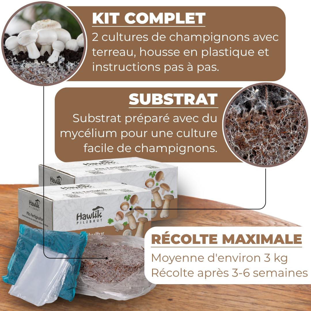 Hawlik Kit Champignons de Paris - Lot de 2 Cultures - Blancs et Bruns