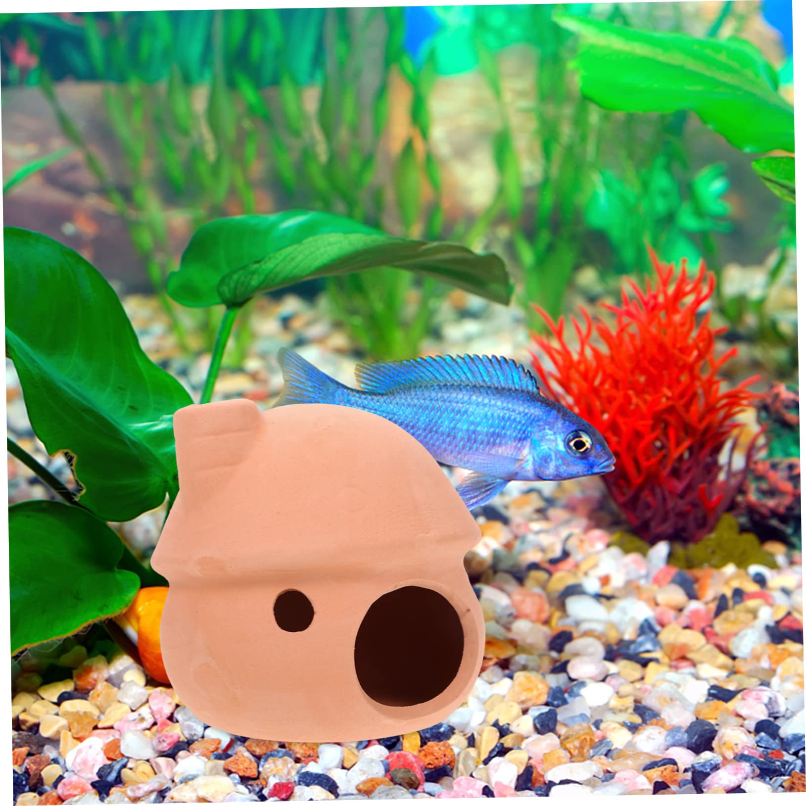 BESPORTBLE 5 Juegos Olla De Barro del Tanque De Peces Accesorios para Peceras Peces De Acuario Adornos Acuario Peceras para Peces Adorno De Escondite De Acuario Refugio De Peces 2 Piezas * 5