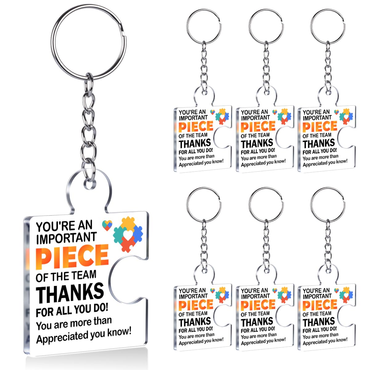 Team Appreciation Gifts Bulk Thank You Keychains for Coworkers