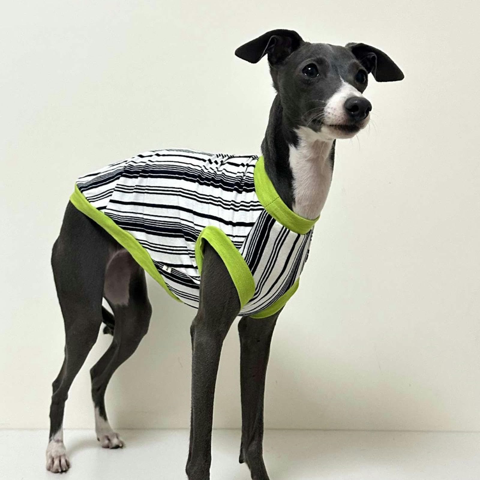 Camisas para Perros, Camisetas a Rayas de algodón, Chaleco Fresco de Galgo Italiano de Verano, Ropa Suave y Transpirable para Cachorros para Perros pequeños, medianos y Grandes