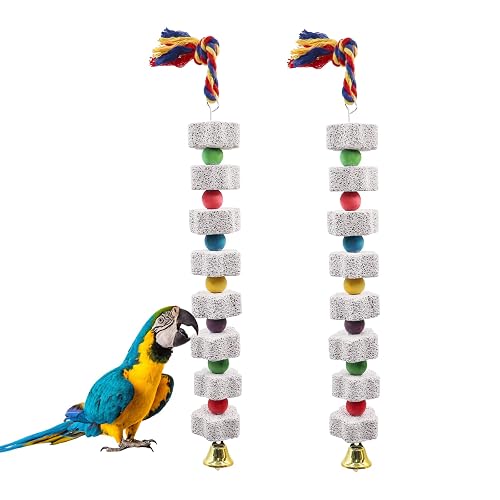 Dnoifne Pack de 2 Juguetes para Roer para Aves Grandes