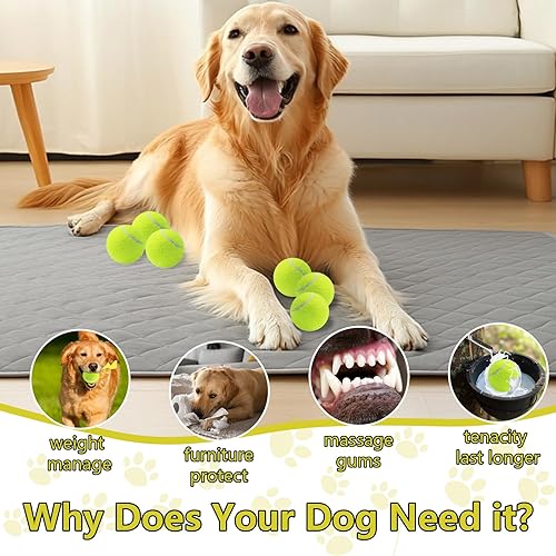Miniatura 6 de Swingers Pelotas de tenis chirriantes para perro, pelotas de tenis de entrenamiento de 2.5 pulgadas, pelota de ejercicio para mascotas y perros con