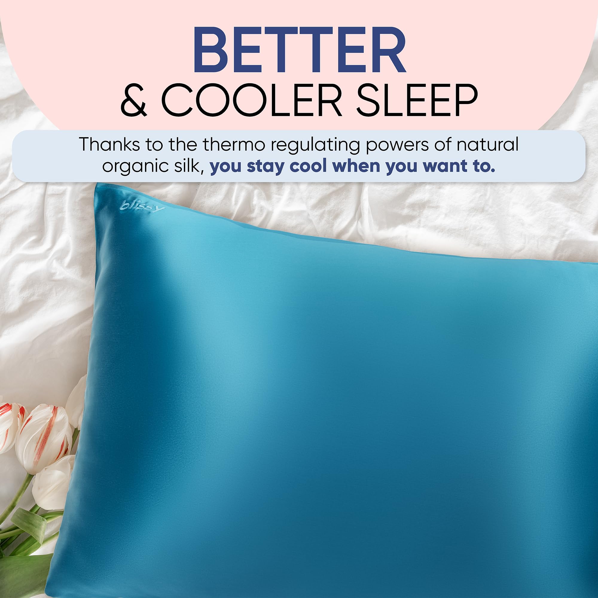 Blissy Silk Pillowcase - 100% Pure Mulberry Silk - 22 Momme 6A High-Grade Fibers - Silk Pillow Cover for Hair & Skin - Regular, Queen & King (Aqua, Standard)