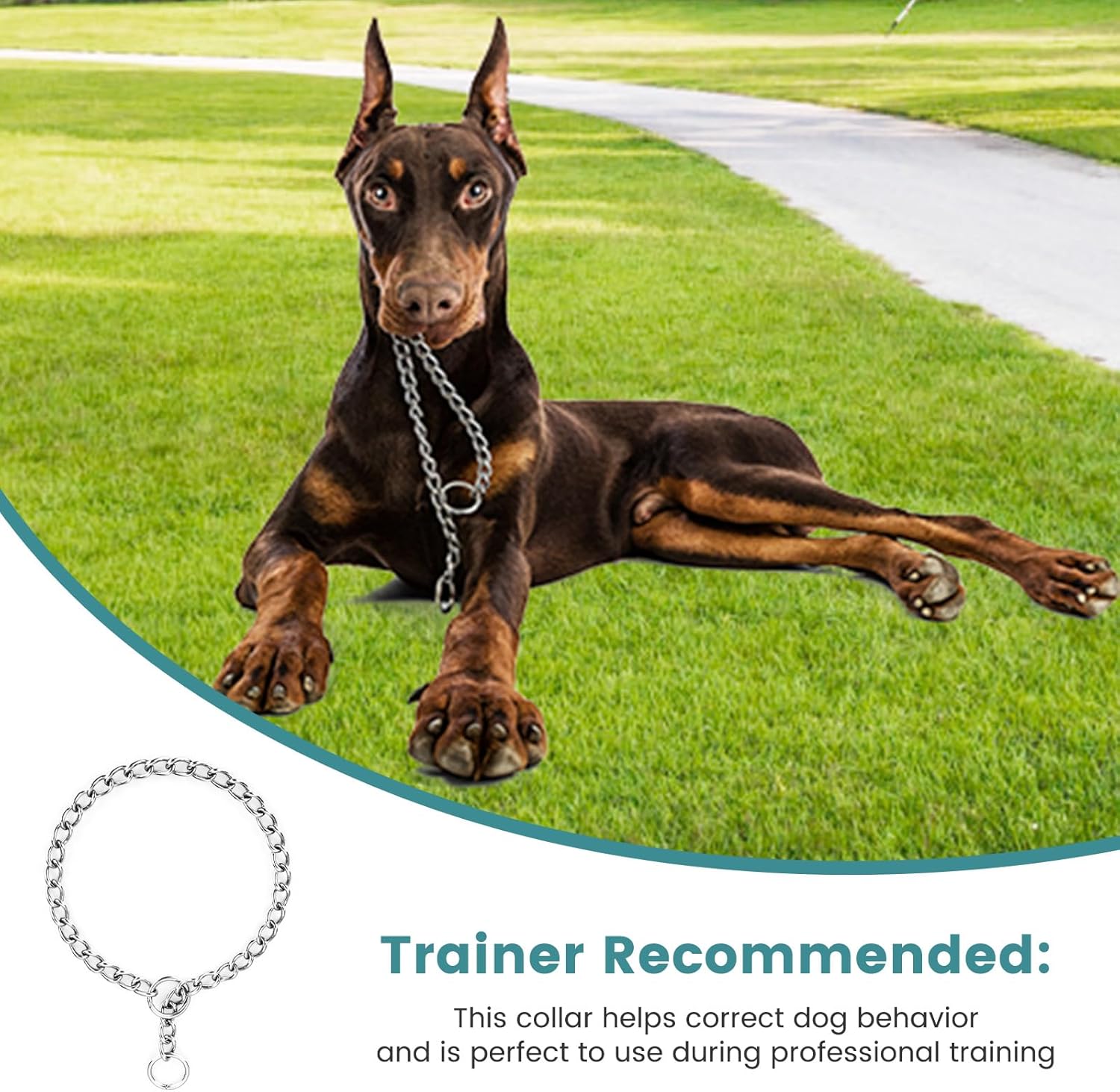 PETTOM Dog Chain Collar Stainless Steel Rust-Proof, Seamlessly Welded Hair-Friendly Design, Dog Choker Collar Silver for Training Walking (M- Diameter 50cm) 8 71G Dj61sgL. AC SL1500