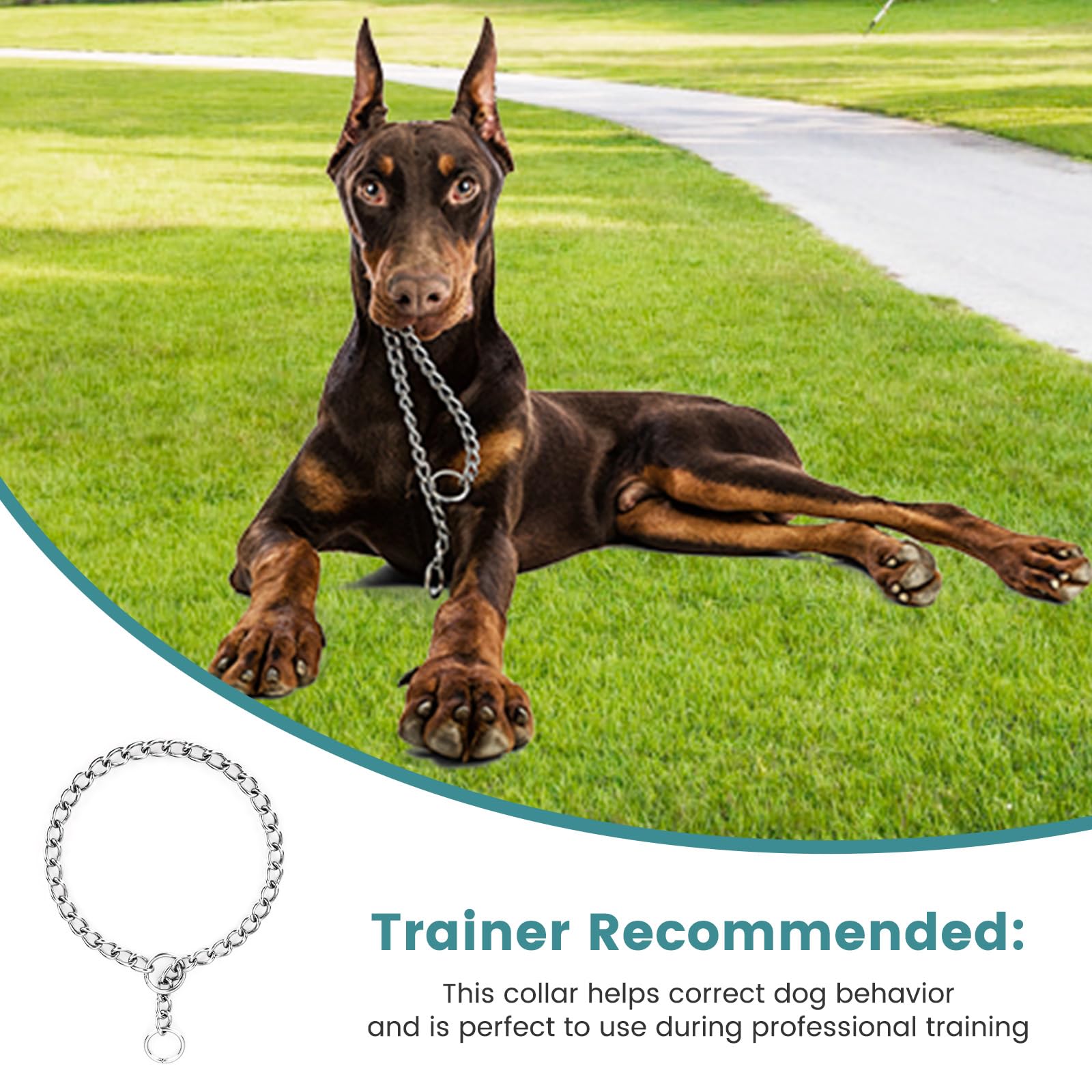 PETTOM Obroża choker dla psa ze stali nierdzewnej, łańcuszek do ssania dla psa, mocny, bez ciągnięcia, do treningu na świeżym powietrzu, rozmiar M: 60 cm, stal nierdzewna