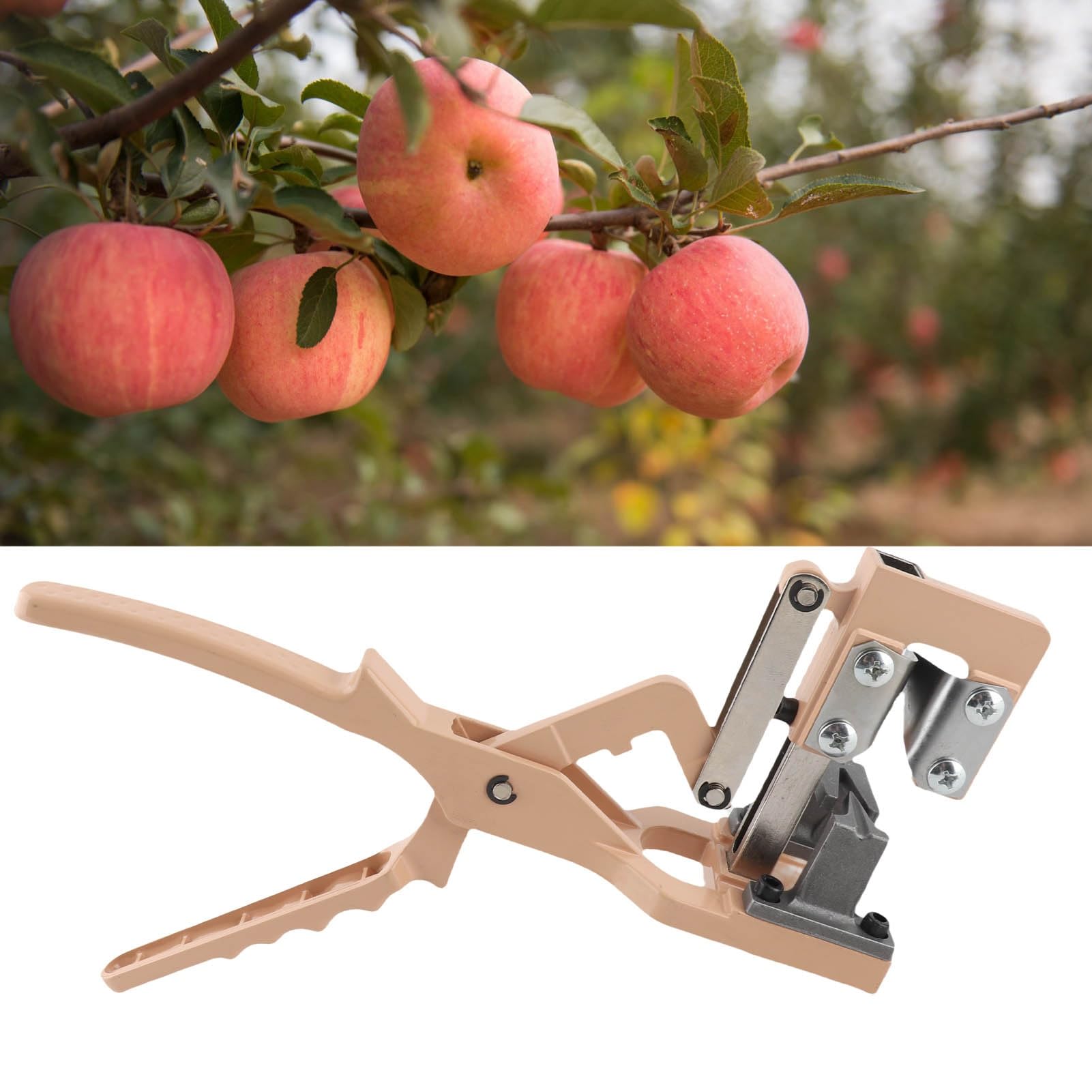 Strumento di innesto a V, potatura efficiente, taglio pulito per giardinieri e agricoltori, acciaio SK5 al carbonio