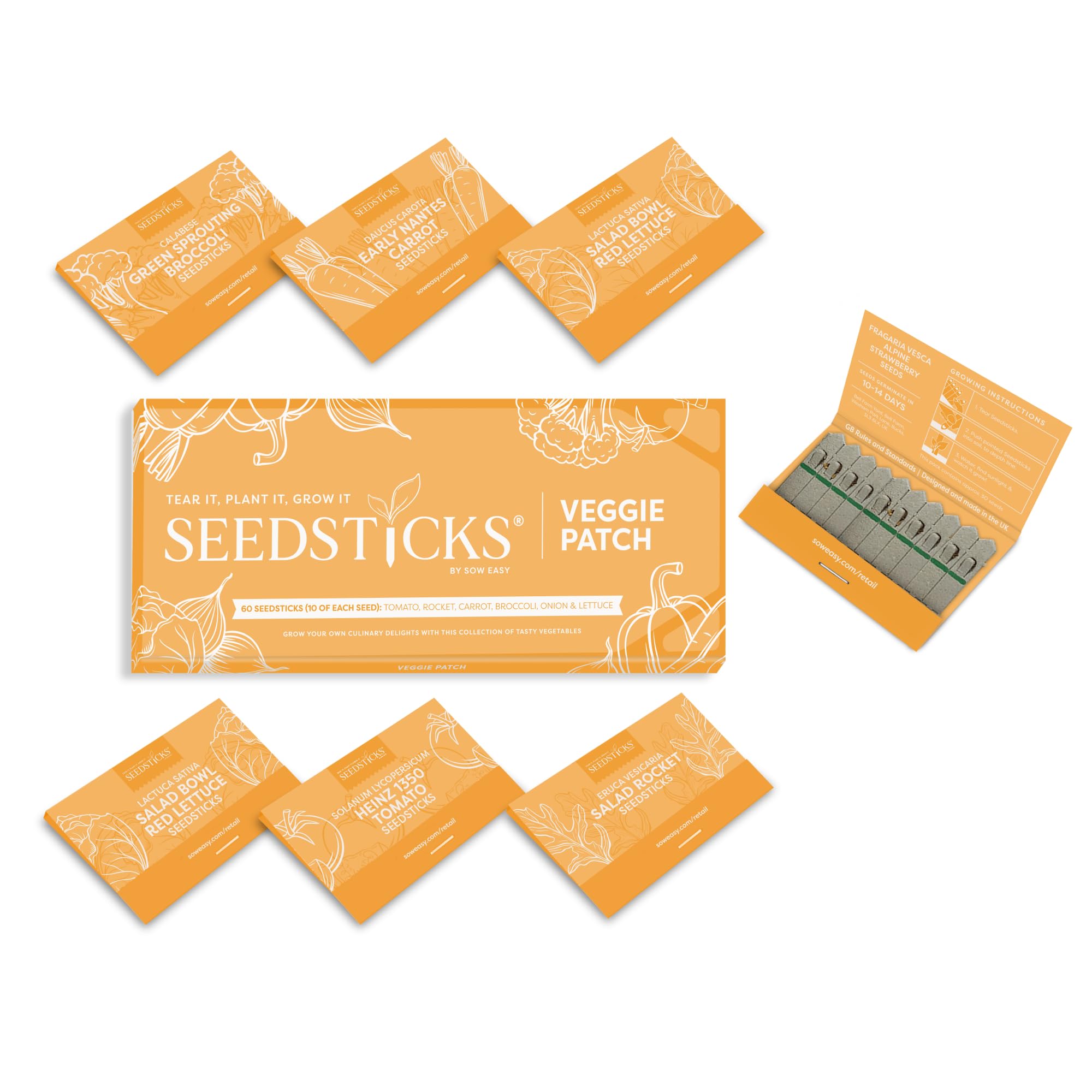 Seedsticks Veggie Patch Vegetable Seed Growing Kit - 6 Vegetable Seed Varieties - Grow Your Own Tomato, Carrot, Broccoli, Onion, Rocket & Lettuce - Easy Planting Garden Gift for Beginners