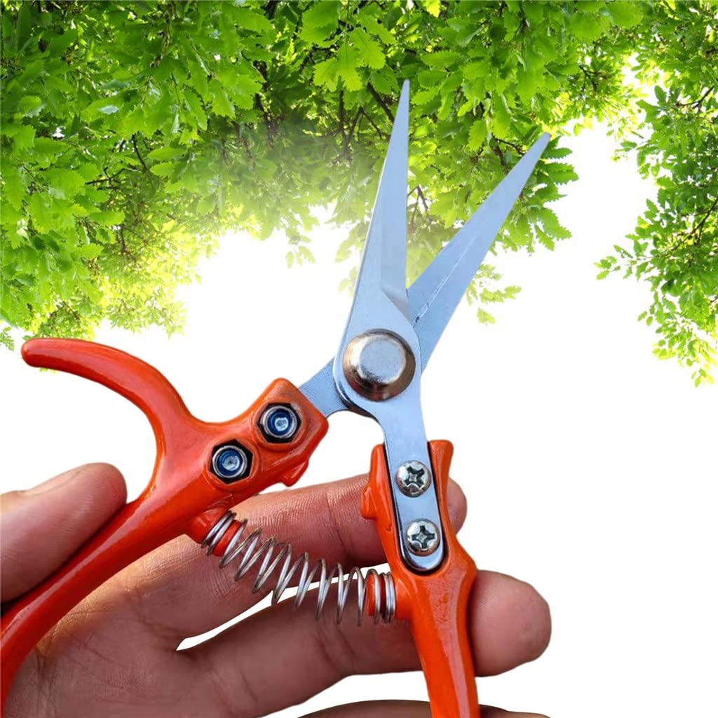 n Forbici Cesoie per la Raccolta della Frutta Cesoie da potatura in Acciaio Inossidabile n Verdura n Strumento per la potatura Forbici per Bonsai per Uso Domestico