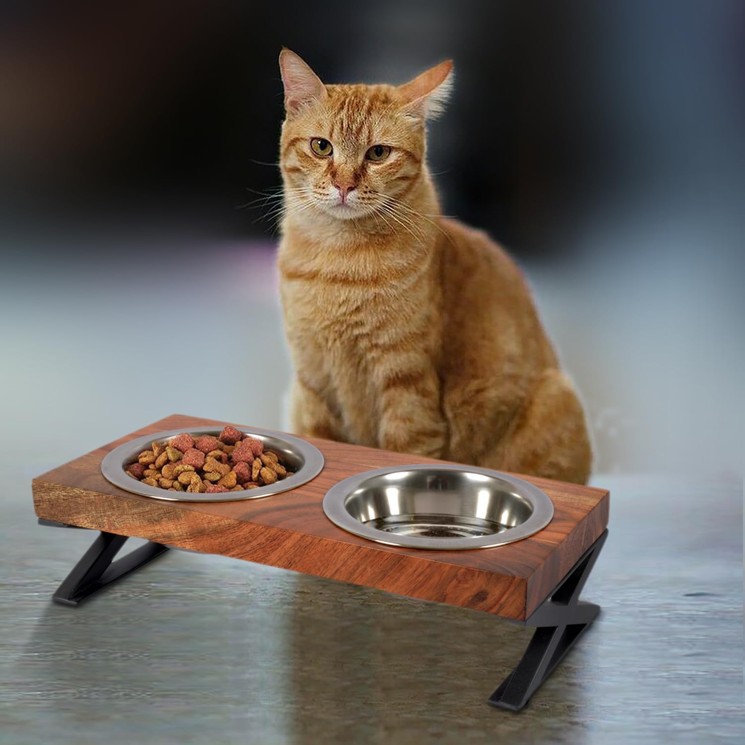 Pure Souls Milo Pet Feeder, Natural Mango Wood Feeders Stand, Elevated Cat Bowls 250 ml, Food Water Diner, Durable Double Bowl Feeding Stands for Cats - Small (32 x 15 x 8.25 cm) (B0D45M4VRY) Amazon Price History, Amazon Price Tracker