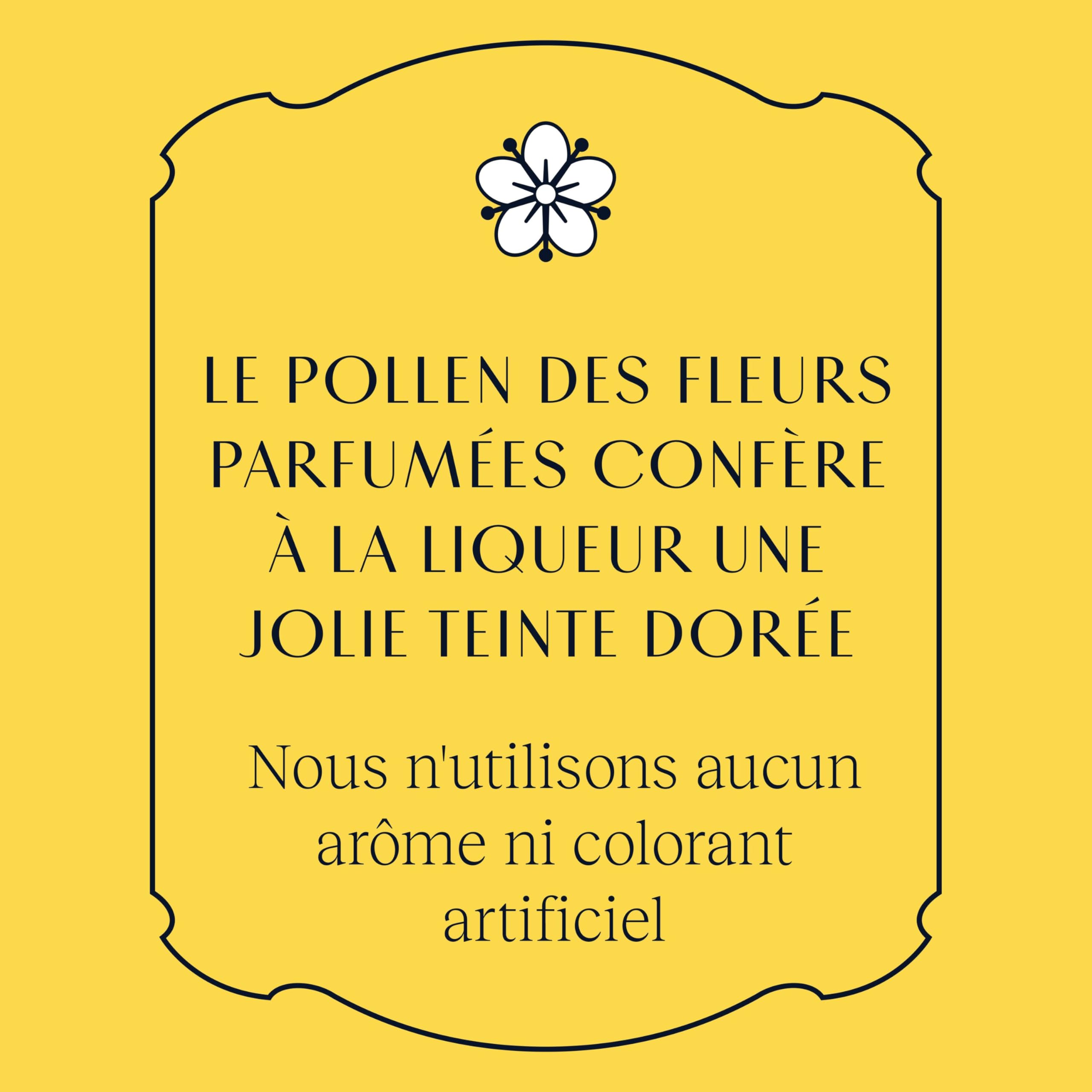 St-Germain Liqueur Française élaborée aux fleurs de sureau, 20 % vol., 50 cl/500 ml, fraîchement cueillies à la main, sans arômes artificiels