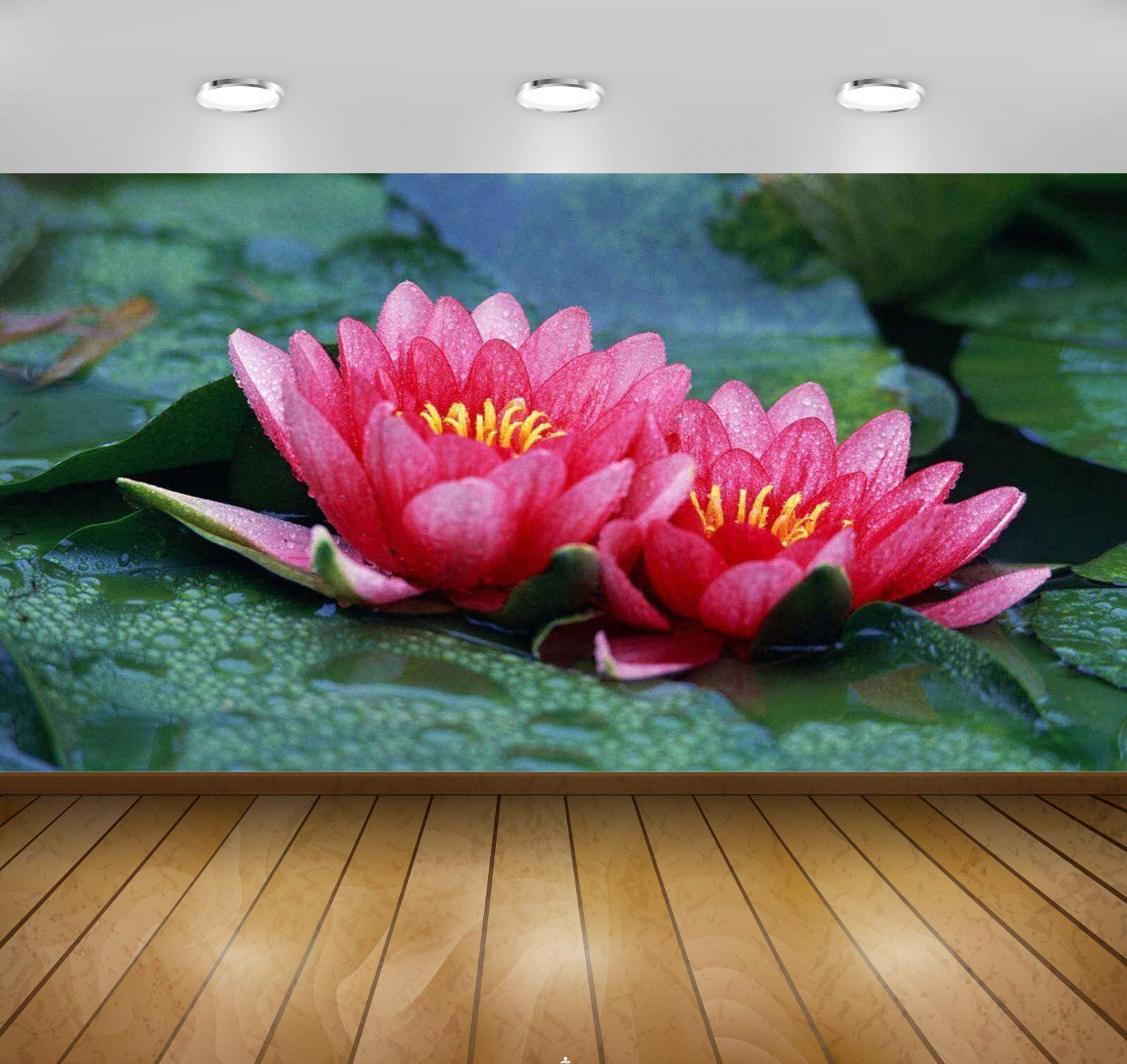 Avikalp Exclusive Awi3372 Pink Lotus Flowers Full HD Wallpapers (91cm x 60cm) (B077YQ9ZPY) Amazon Price History, Amazon Price Tracker
