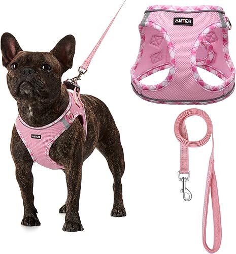 Vista 101 de AMTOR - Arnés para perro con correa, arnés reflectante, ajustable y sin tirones para cachorros con chaleco acolchado para perros y gatos Beige