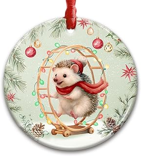 CHOANG. Hedgehog Christmas Ornament 2025 - Cute Animal Ceramic Decor for Xmas Tree Hanging, Car Interior - Gift for Hedgehog Lover, Little Animal Gifts for Women, Girls, Kids