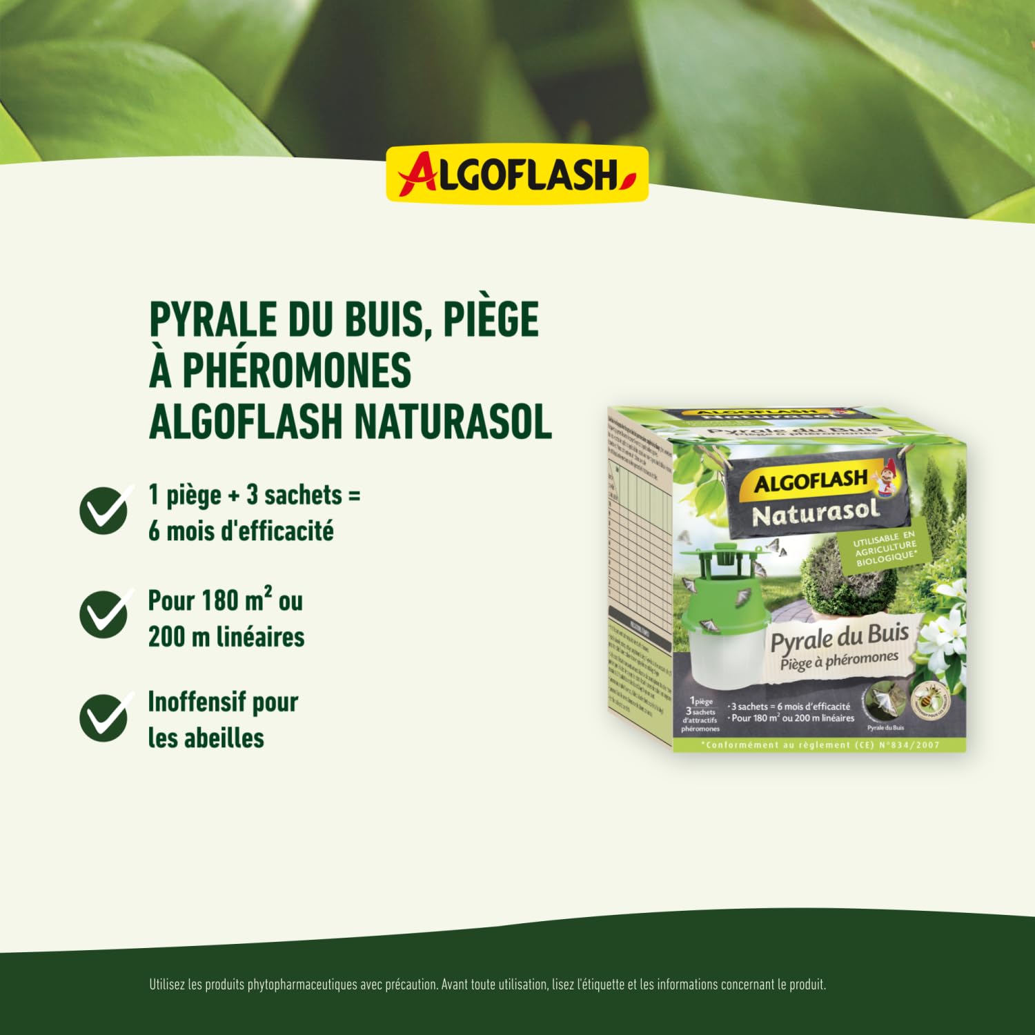 ALGOFLASH NATURASOL BIOPIBUI bukszpanowa pułapka z 3 kapsułkami feromonowymi, nie nadaje się do stosowania