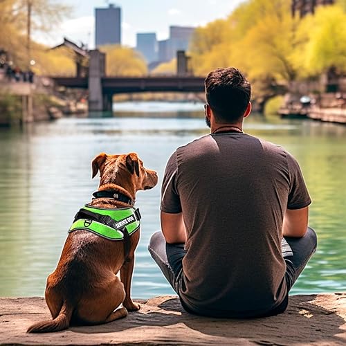 Miniatura 5 de Chaleco de servicio para perro, 9 parches para perros, arnés y correa para perro con asa, arnés de chaleco para mascotas fácil de poner y quitar con