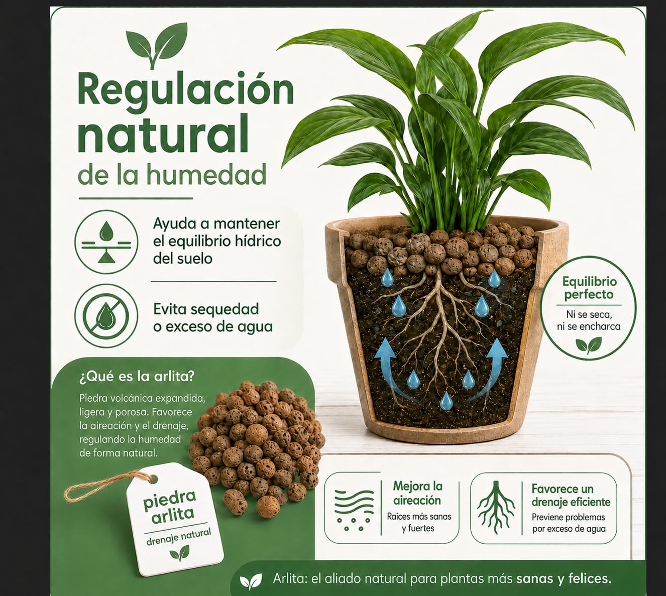 Flornatur Arlita Expandida para Plantas | Bolitas para Macetas y Jardines| Arlita para Drenaje | Forma de Bolas | Tierra Húmeda para Suelo (2 Sacos 50 litros)