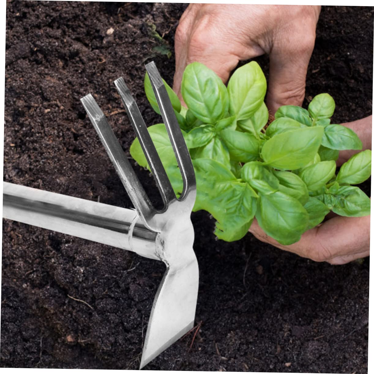 Piccola Zolla in Acciaio Inossidabile per Giardinaggio, Attrezzo Manuale per Semina, Coltivazione e Sistemazione del Terreno in Giardino, Terrazzo o Orto