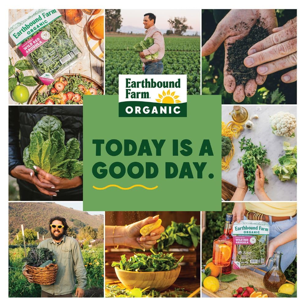 EARTHBOUND FARM Organic Wild Red Arugula 4 OZ — view 4