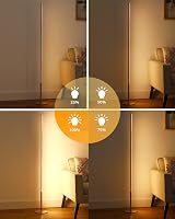 EDISHINE LED állólámpa dimmer funkcióval, 146 cm arany, meleg fehér 3000K, nappali hálószoba iroda 2