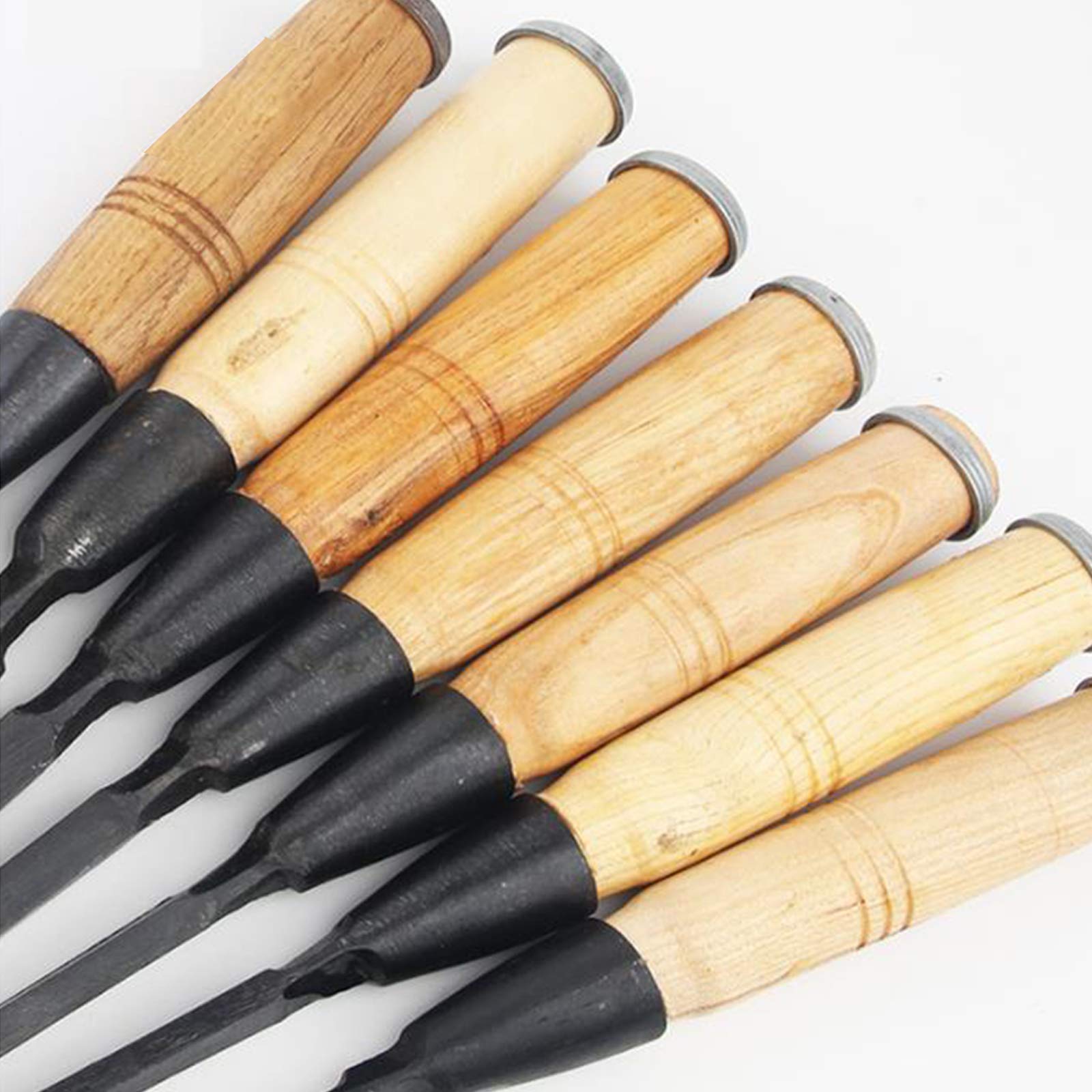 ノミ6本セット 【公式通販】