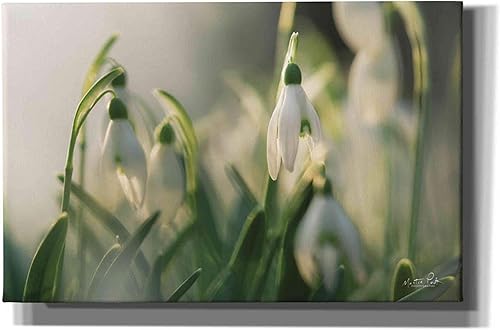 Miniatura 3 de Epic Graffiti 'Snowdrops' de Martin Podt, arte de pared en lienzo, 18 x 12 pulgadas