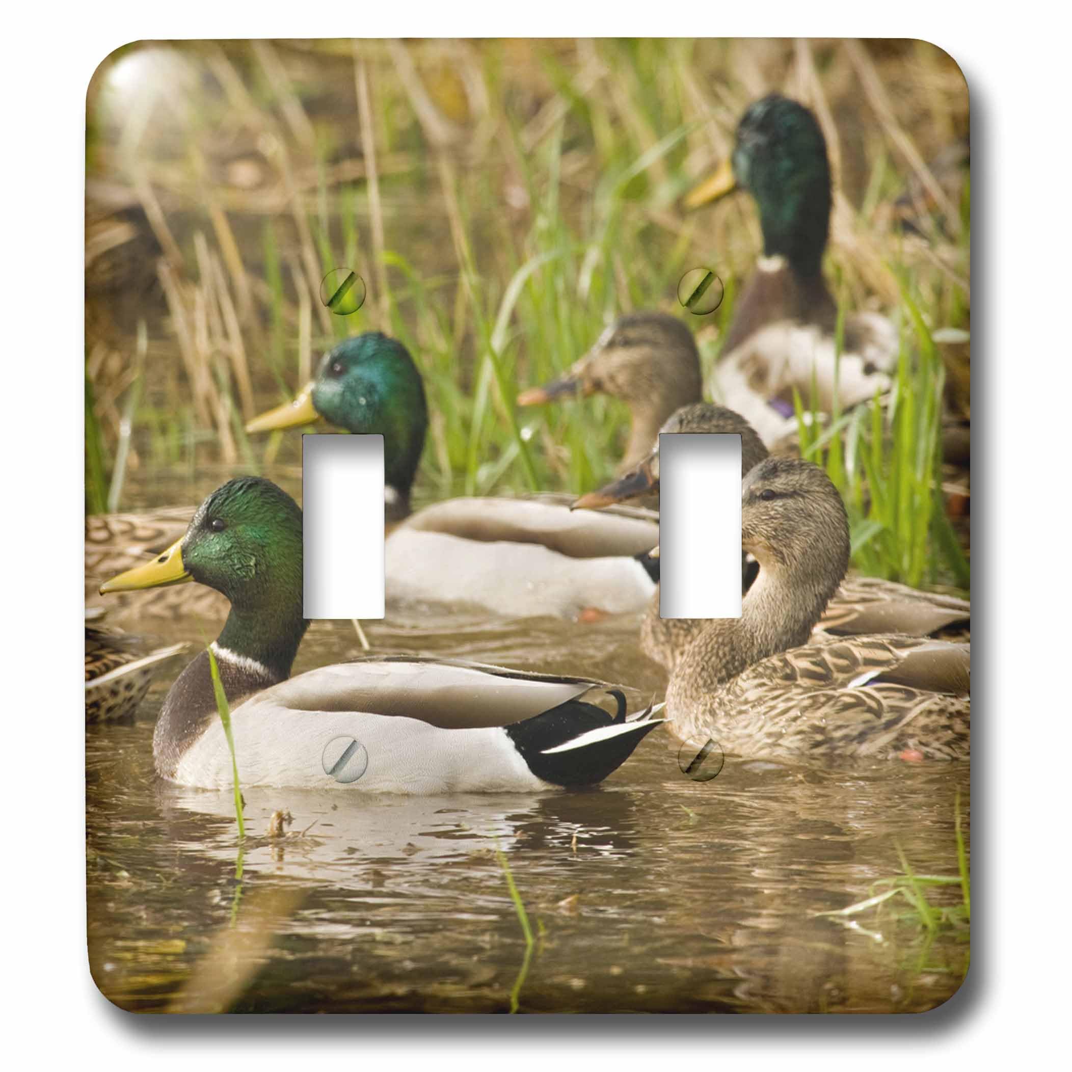 Double interrupteur à bascule canards colverts 3dRose lsp_93916_2