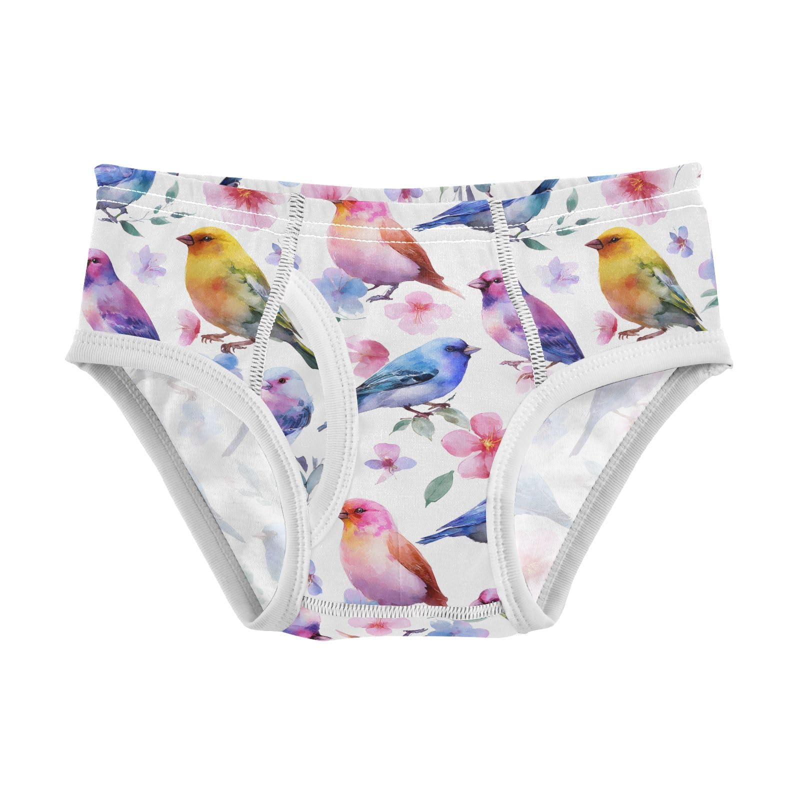 senya Baby Toddler Boys Underwear Kids Exclusive Boxer Briefs Comfort 2T Colorful Bird Flower