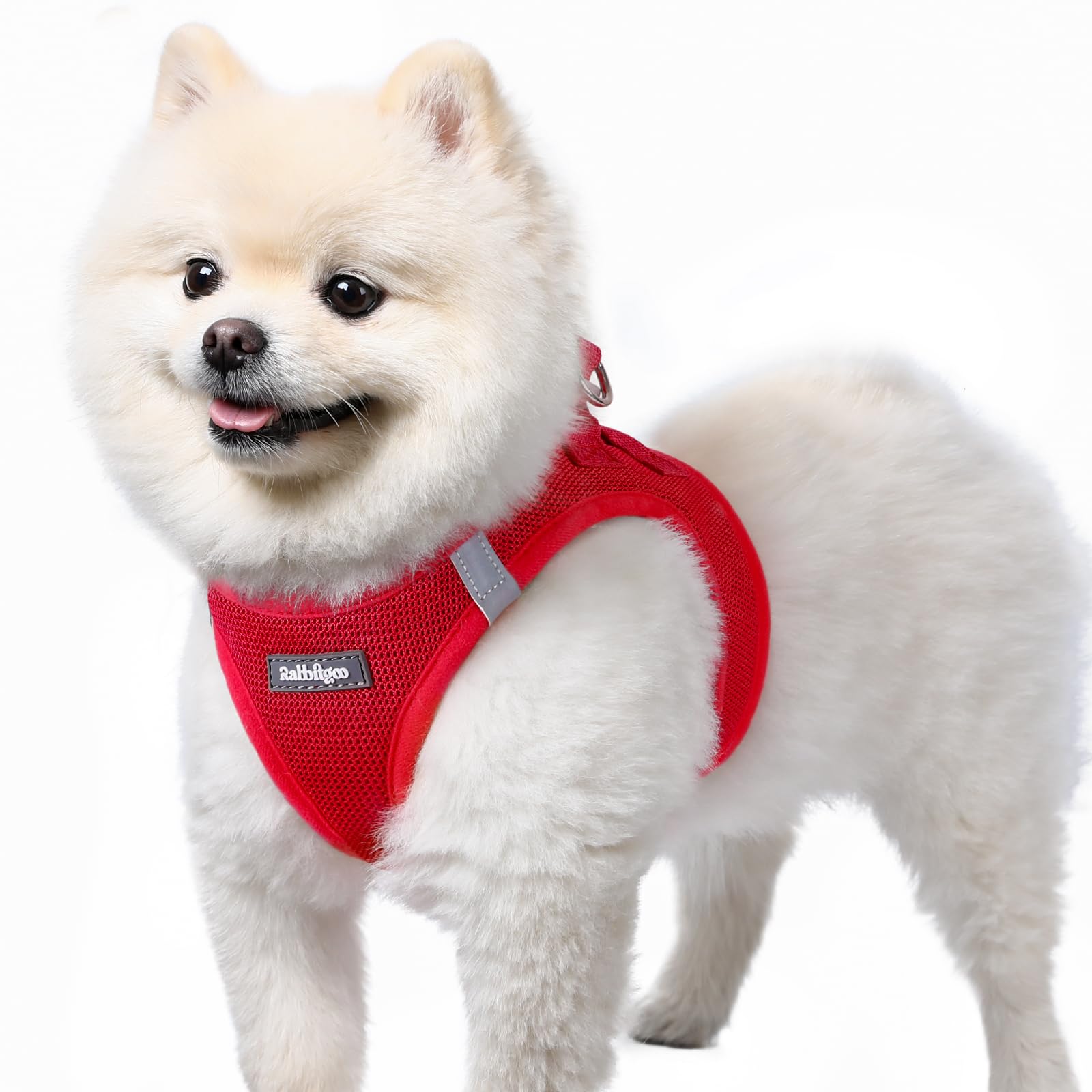 rabbitgoo Hundegeschirr kleine Hunde, Step-in Soft Mesh Hundegeschirr mit Sicherheitsverschluss, atmungsaktives und reflektierendes Welpengeschirr für kleine Hunde