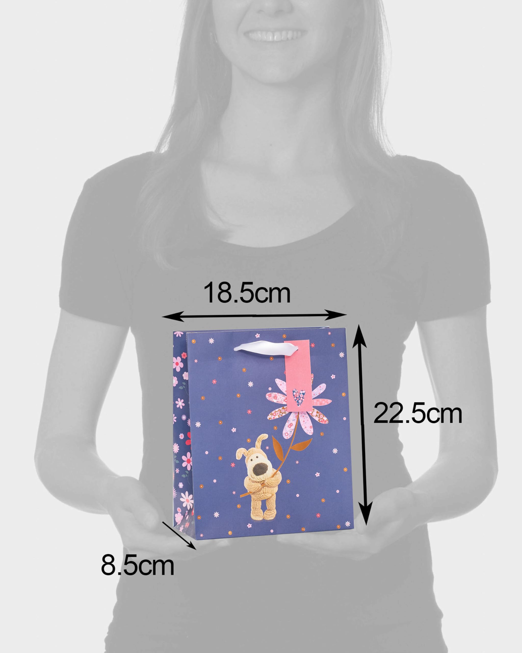 Boofle Medium Gift Bag - Compare Prices & Where To Buy