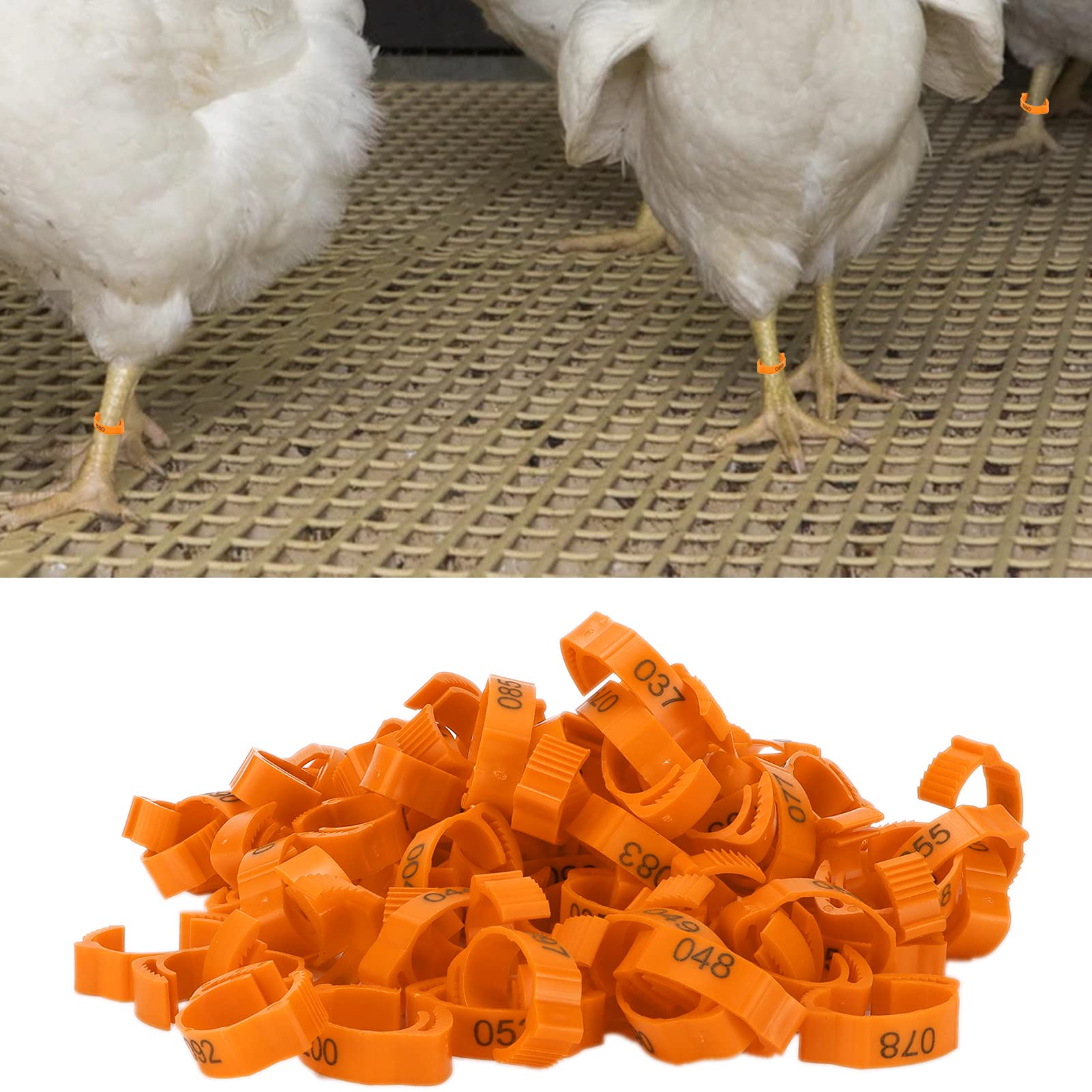 100 Anneaux De Pattes Colorés Pour Pigeons, Poules Et Oiseaux – 9 Mm, Numérotés 001 à 100, En Plastique Résistant