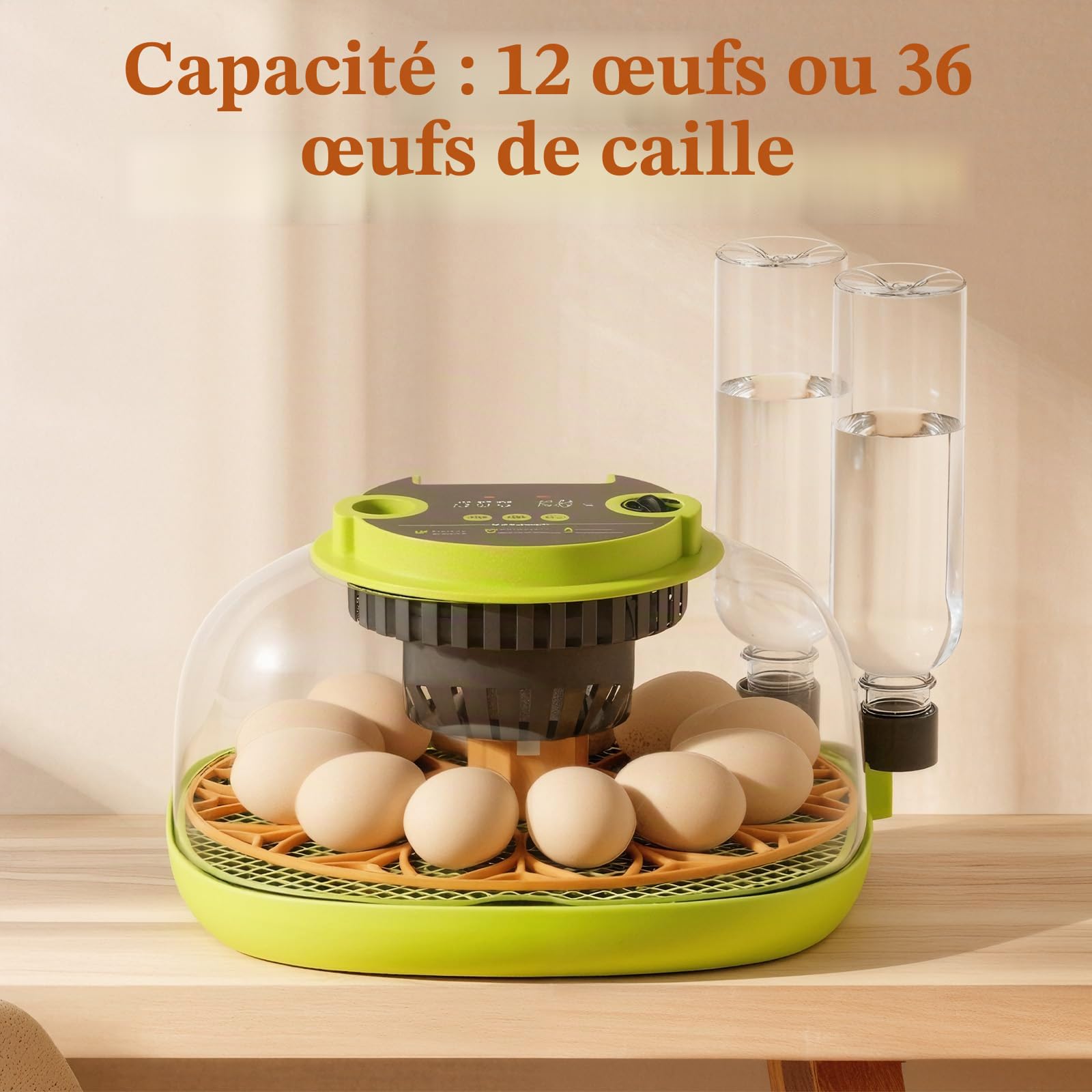 Couveuse Oeuf Automatique 12 Œufs, avec Alimentation en Eau, Retourneur Œufs Automatique, Contrôle Température et Humidité, Testeur Œufs, Vision à 360°, pour Poules, Cailles et Canards (B)