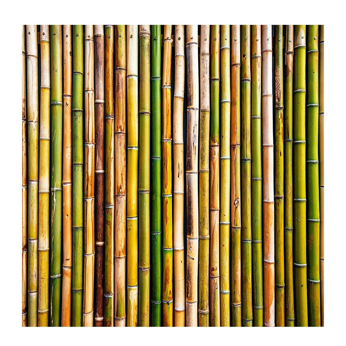 See full amazon price history chart for 100Yellow® 3D Natural Bamboo Wallpaper (42.67 Sq Ft, Self Adhesive PVC Vinyl) 100Yellow® 3D Natural Bamboo Wallpaper (42.67 Sq Ft, Self Adhesive PVC Vinyl) (B079JXCZ75) Amazon Price History, Amazon Price Tracker