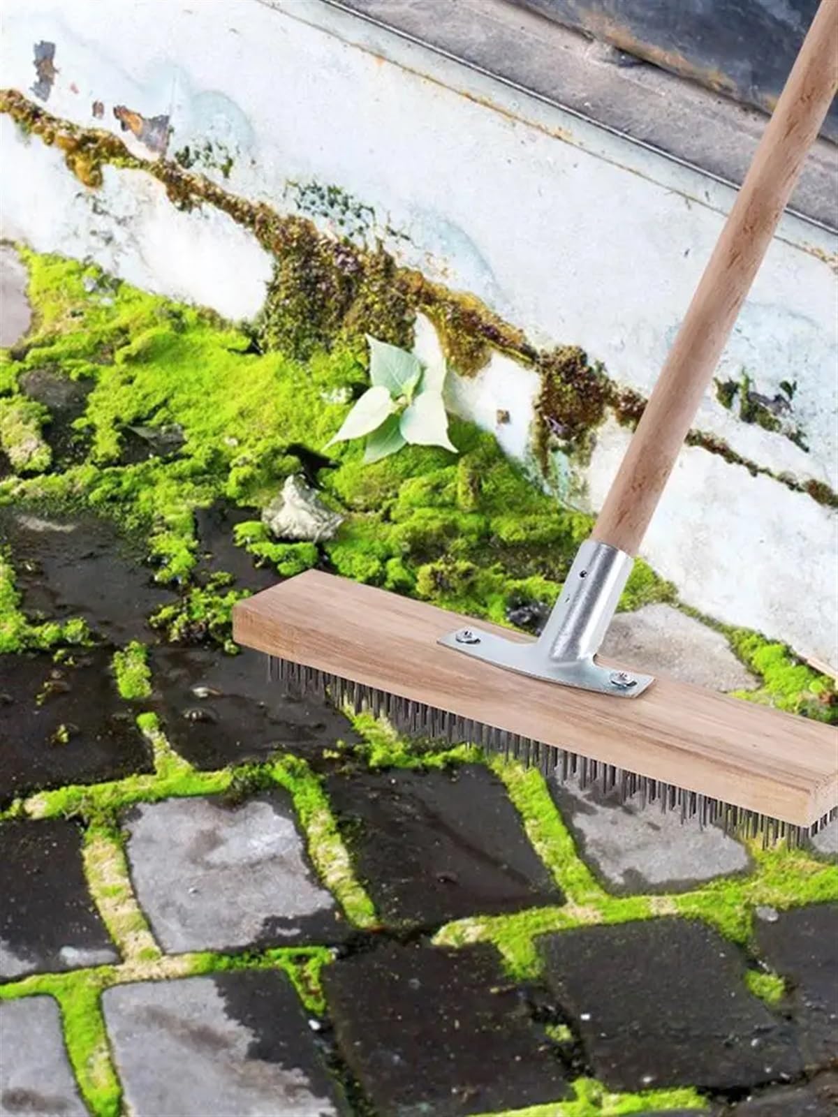 Besen Draußen 30cm Drahtbesenbürste Kehrboden Garten Moosreiniger Wäscher Küche Haushalt Reinigungswerkzeuge Zubehör