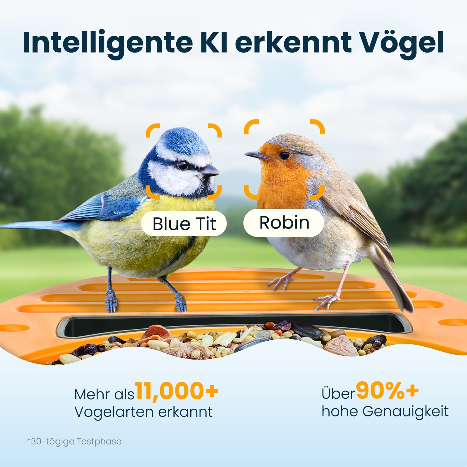 Vogelhaus mit Kamera, 2,5K UHD, solarbetrieben, präzise KI-Erkennung, sofortige Benachrichtigungen, wasserdicht nach IP66 für den Außenbereich, grün