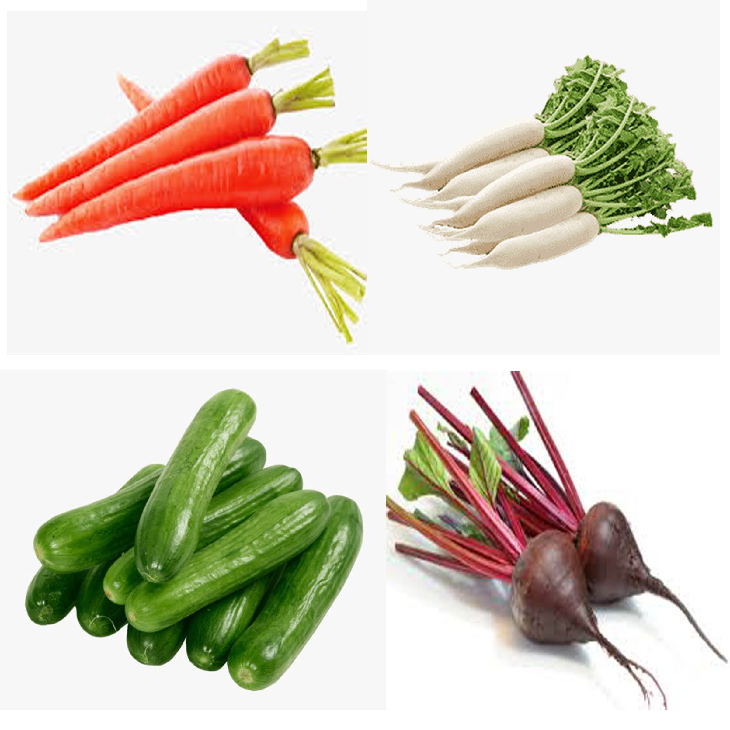 Combo four Vegetable Seeds Pack of Chukandar(Beetroot), Gajar(Carrot), Muli(Radish) and Khira(Cucumber), each more than 100 seeds, Terrace garden, 100 Percent Organic, A124, Multicolour (B09MNN6N4T) Amazon Price History, Amazon Price Tracker