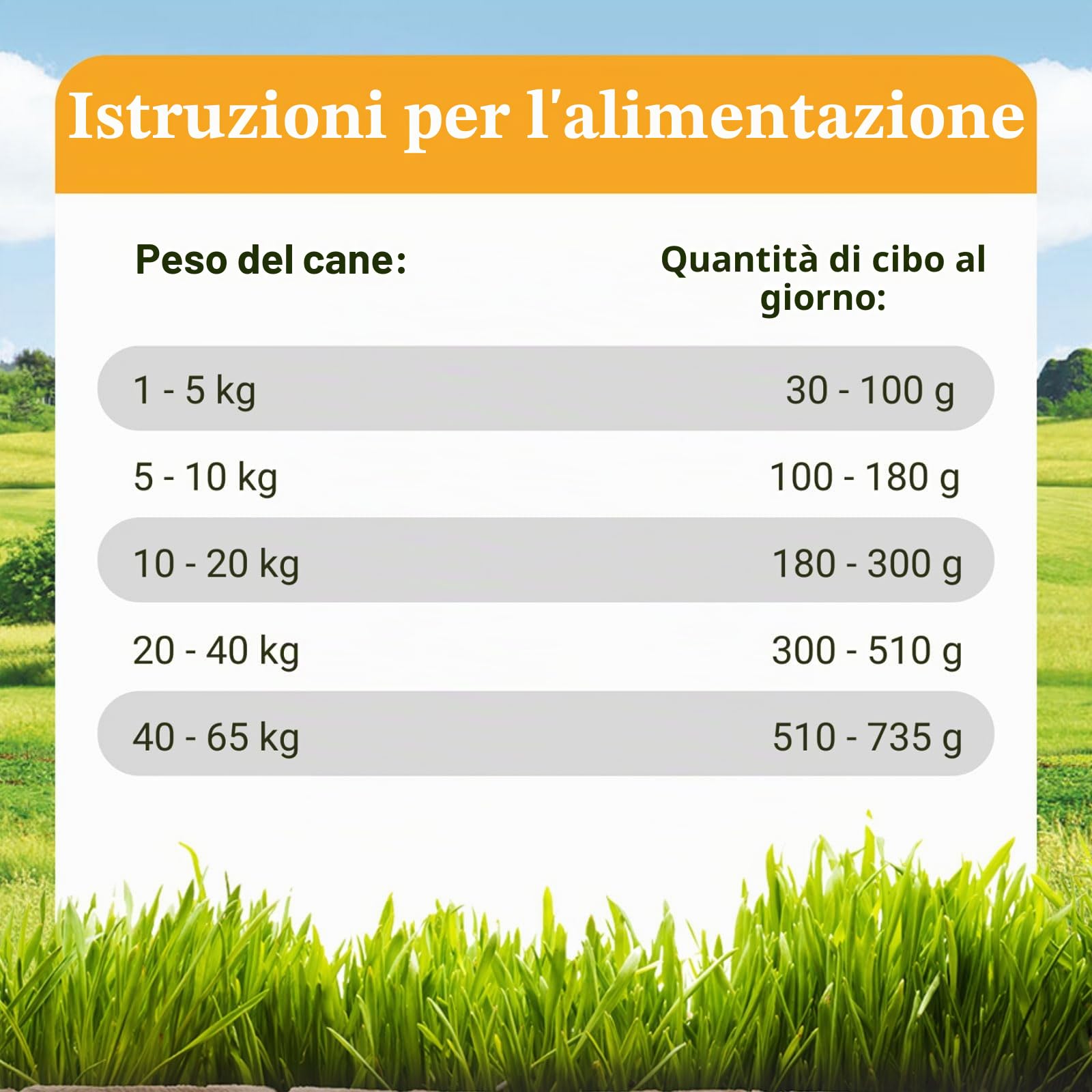 Bellfor Naturgut-Schmaus Cibo secco ipoallergenico di alta qualità spremuto a freddo per cani con insetti Senza cereali Ottimale per cani sensibili dal punto di vista nutrizionale 10 kg