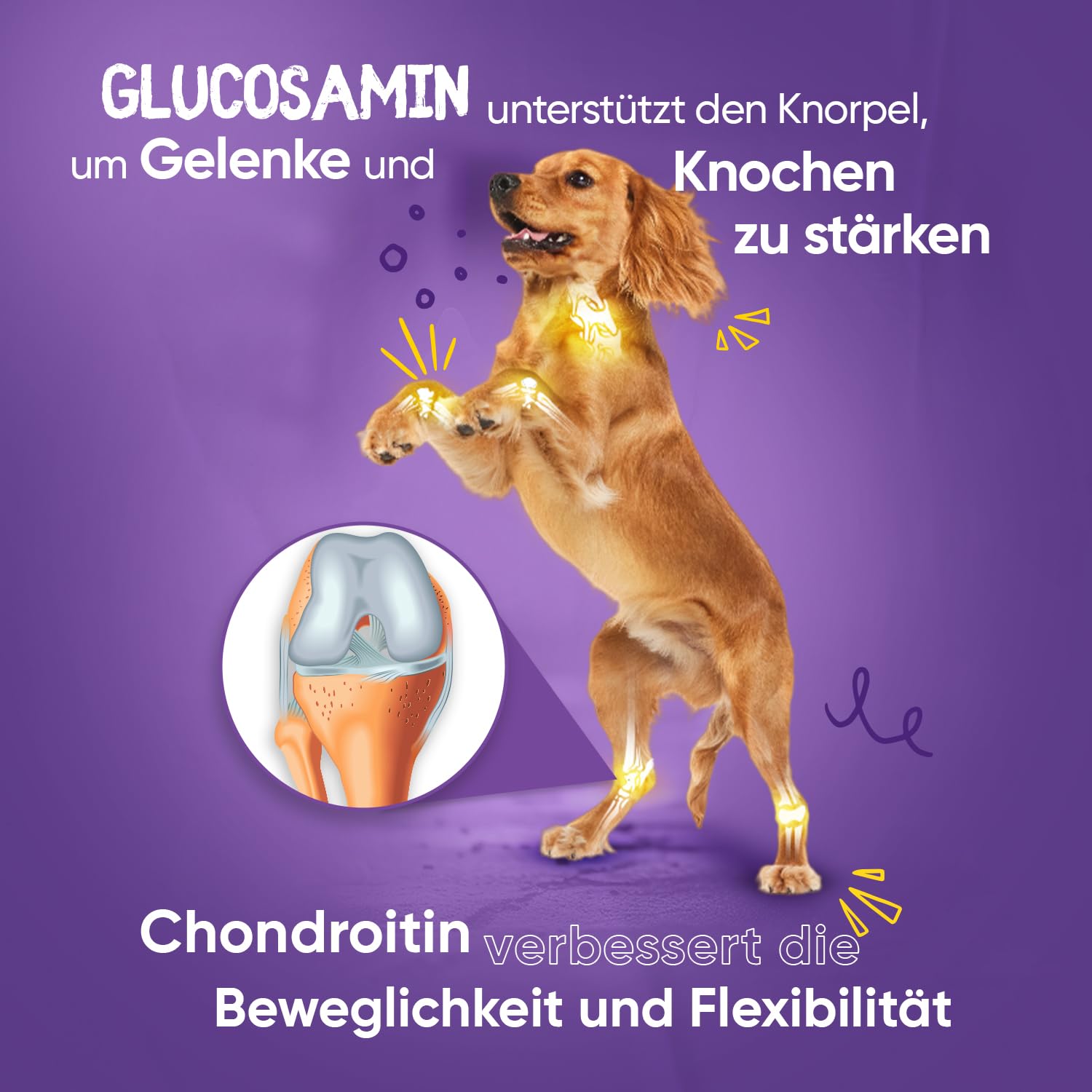 Glucosamin Chondroitin Komplex - 180 Kapseln - Knorpelaufbau, Gelenke & Knochen - Gelenkkapseln Hunde & Katzen - Mit Kurkuma, Ingwer, Vitamin C - Alternative zu Gelenktabletten, Grünlippmuschelpulver