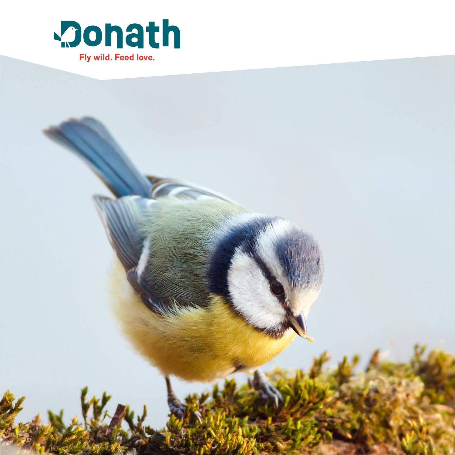 Donath Semi Di Canapa Donath Fly Wild Feed Love