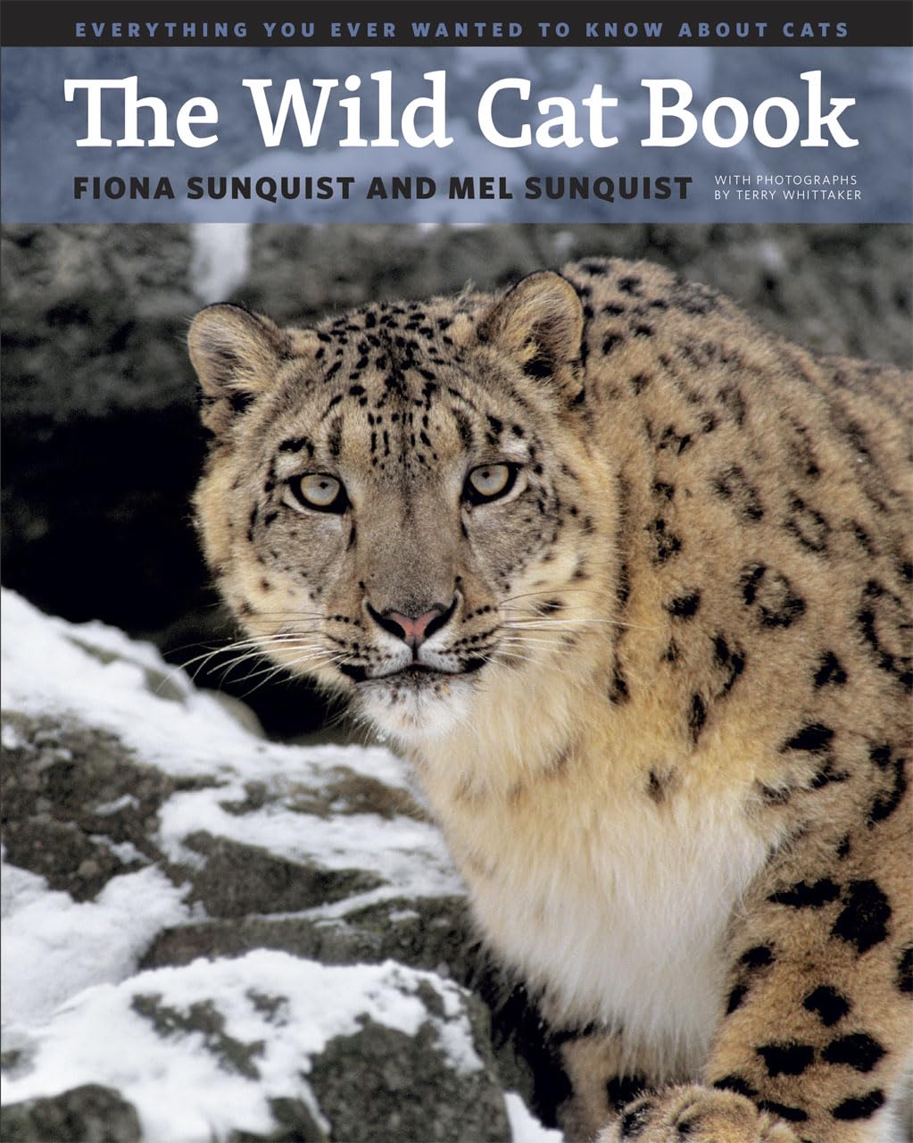 The Wild Cat Book – Everything You Ever Wanted to Know about Cats