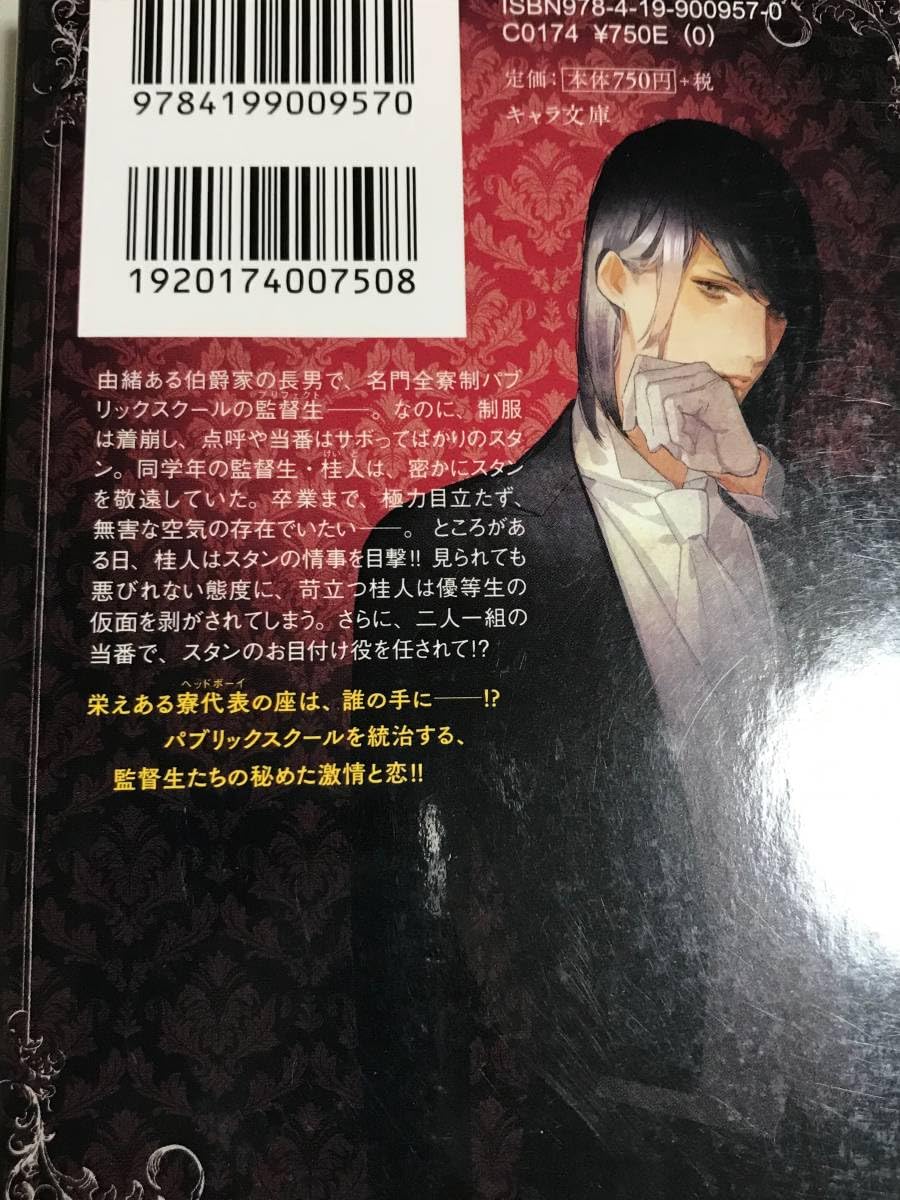 Amazon.co.jp: 樋口美沙緒・yoco 『 パブリックスクール 』シリーズ 全