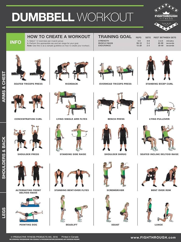 ftdl-dumbbell-high-intensity-workout-laminated-poster-chart-strength-training-core-chest-legs-shoulders-back-build-muscle-tone-tighten-with-dumbbell-training-18-x24-productive-fitness-products-9781773290102-amazon-com-books for Dumbbell Workout Chart Printable Free FTDL Dumbbell High Intensity Workout - Laminated Poster / Chart - Strength Training - Core - Chest - Legs - Shoulders & Back - Build Muscle, Tone Tighten - With Dumbbell Training 18