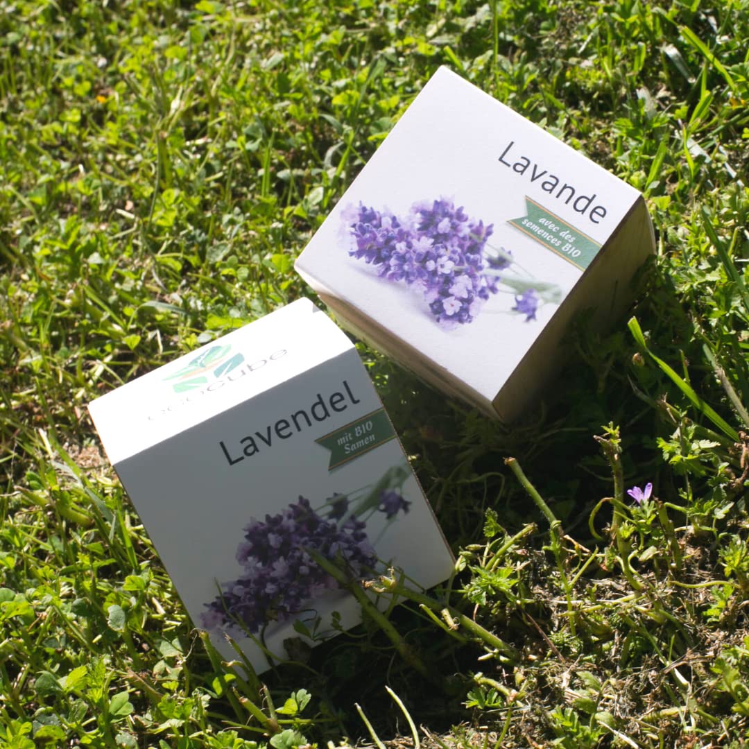 Organizer Da Scrivania Personalizzato Festa Del Papà - Con EcoCube Per Pianta Di Girasole, Regalo Ecosostenibile - Foto 5