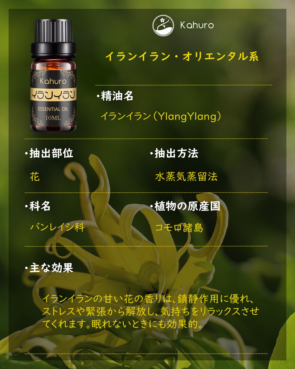 Amazon.co.jp: Kahuro アロマオイル 3種セット エッセンシャルオイル