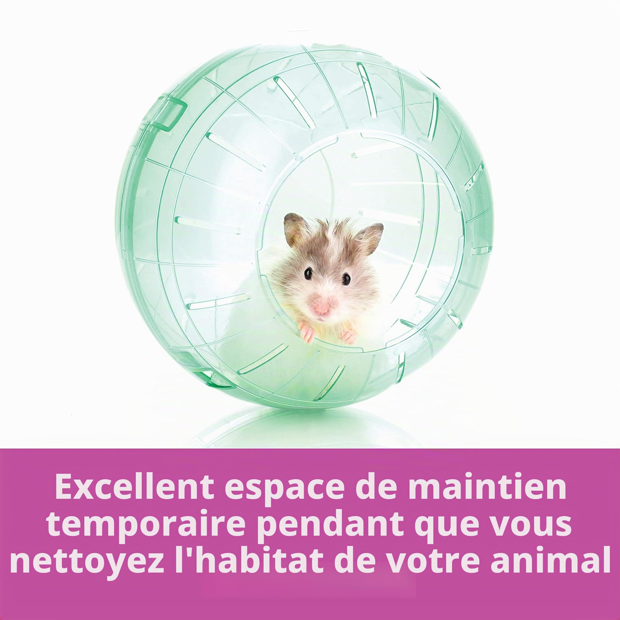 Kaytee , Run About Ball, couleur claire, balle d'exercice et jouets pour hamsters, gerbilles et autres petits animaux, 17.8cm de diamètre