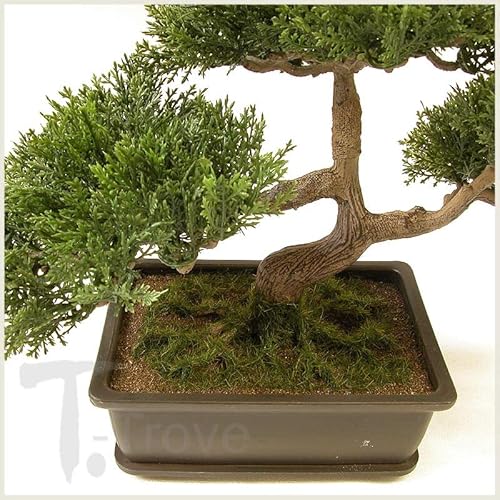 Artificial Japanese Cedar Bonsai Tree 9 Inch Tall #TOP1