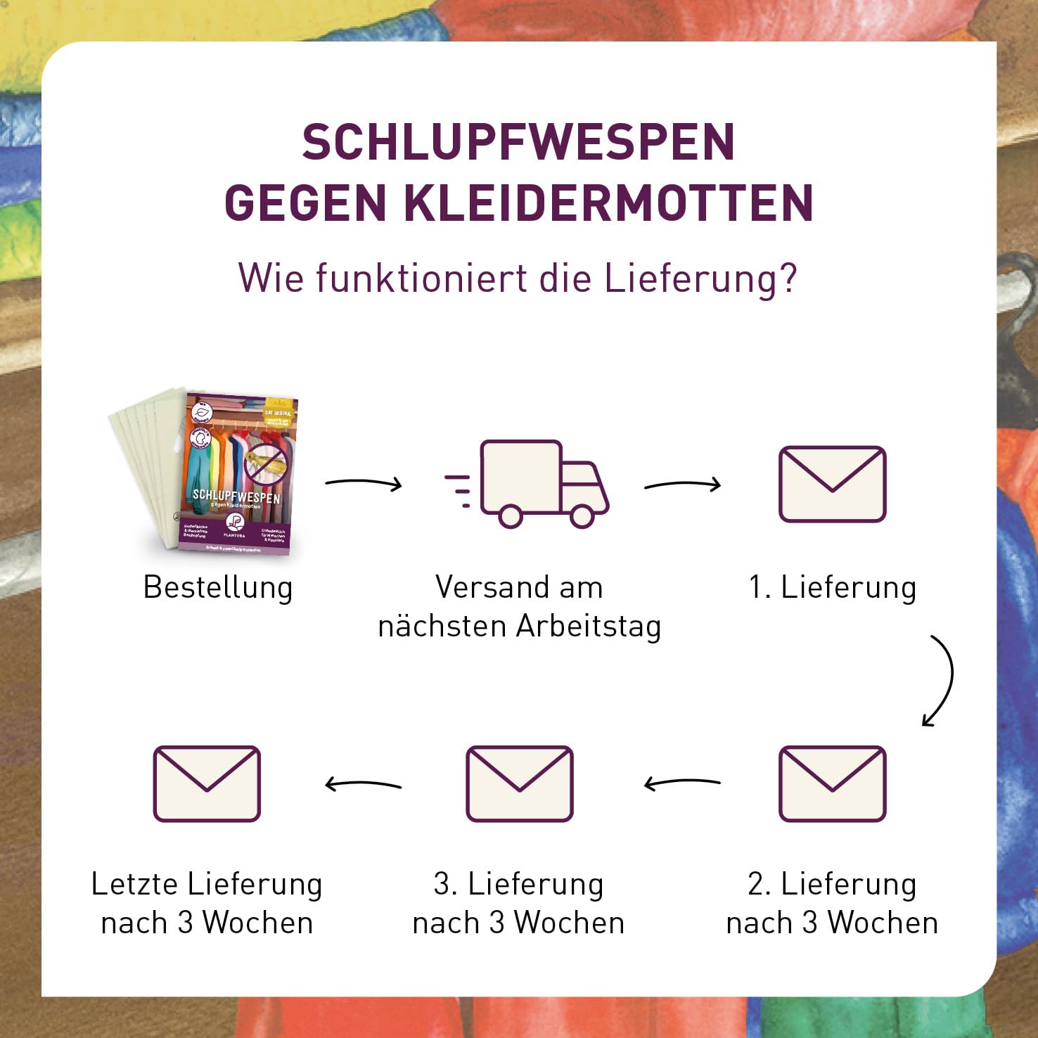 Plantura Schlupfwespen gegen Kleidermotten, Komplett-Lösung mit 12 Karten (3 Karten à 4 Lieferungen) - hochwirksame & nachhaltige Bekämpfung, Alternative zu Mottenkugeln