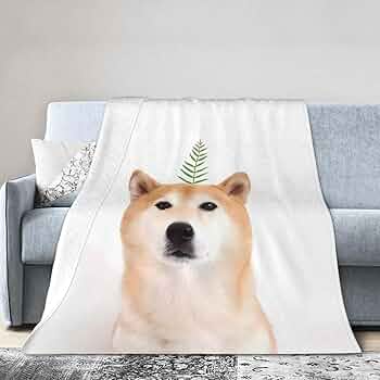 ジェラピケ　柴犬　ブランケット え？あたちモデル？（違いますw） ジェラピケの限定柴犬GETして