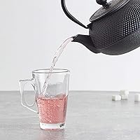 Vista 5 de HwaGui Tetera de hierro fundido grande tetsubina japonesa con infusor de acero inoxidable para tetera de té de hojas sueltas revestida