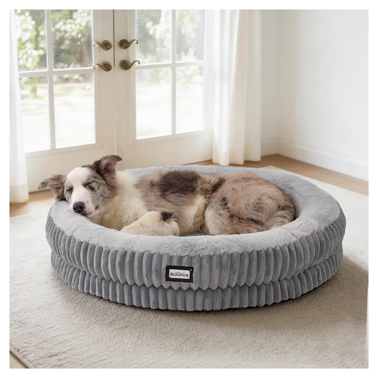 BALANCE Donut Dog Bed — expert review